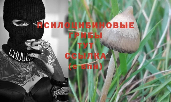 мяу мяу кристалл Бугульма