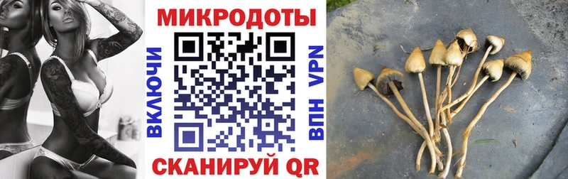 Галлюциногенные грибы MAGIC MUSHROOMS Новопавловск